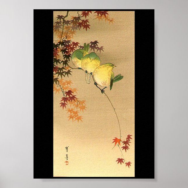 Grönt Birds on Maple Träd, Japansk Art c.1800s Poster (Framsidan)