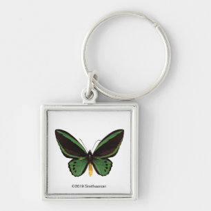 Grönt Birdwing Butterfly Fyrkantig Silverfärgad Nyckelring