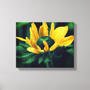 Grönt Black Eyed Susan Flower Canvastryck