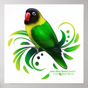 Grönt Black Mask Lovebird Poster