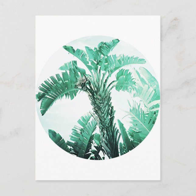 Grönt blad banan växt vykort (Framsida)