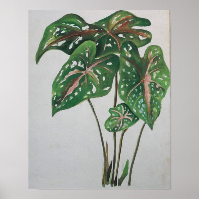 Grönt blad botaniskt väggkonsttryck poster (Framsidan)