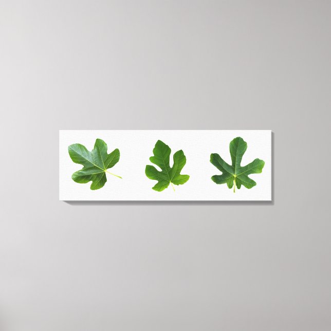 Grönt blad closeup isolerat på vit bakgrund canvastryck (Framsida)