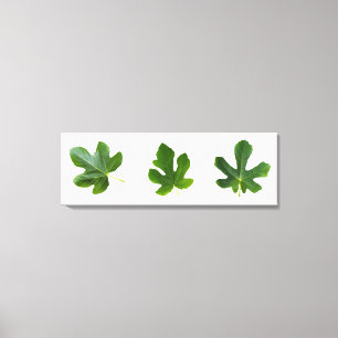 Grönt blad closeup isolerat på vit bakgrund canvastryck