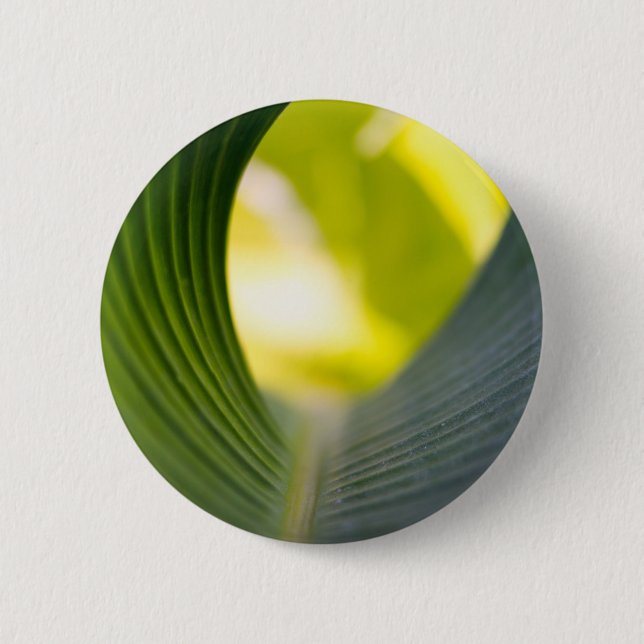 Grönt blad knapp (Framsida)