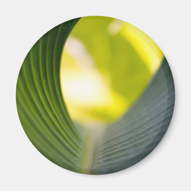 Grönt blad magnet (Framsidan)