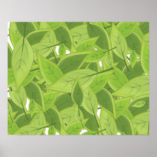 Grönt Blad Mönster Poster