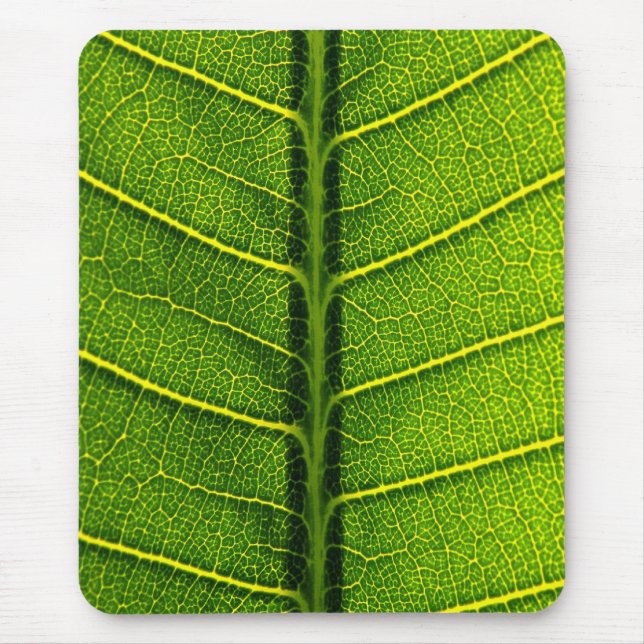 Grönt blad musmatta (Framsidan)