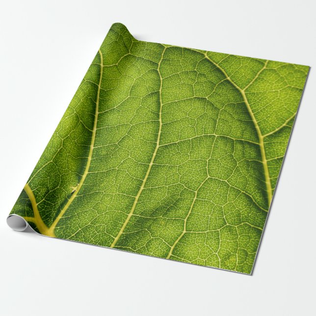 Grönt blad presentpapper (Utrullad)