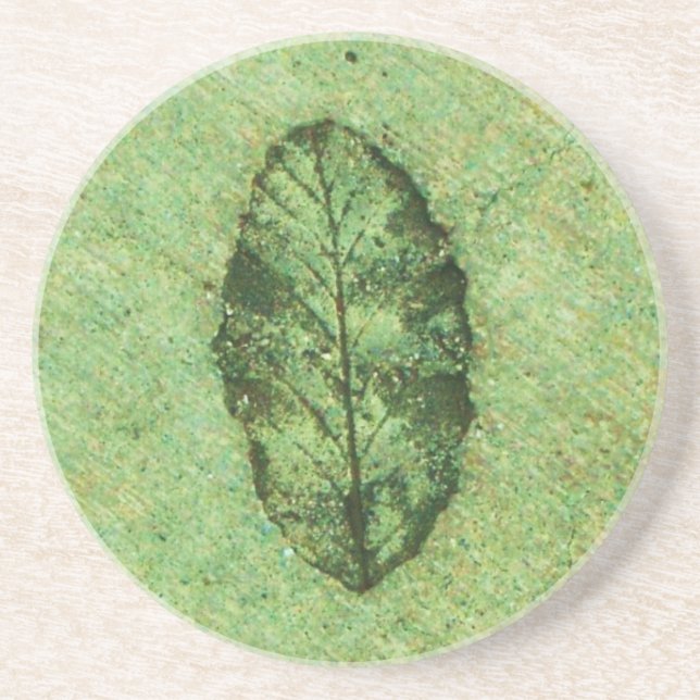 Grönt bladfossil underlägg sandsten (Framsidan)