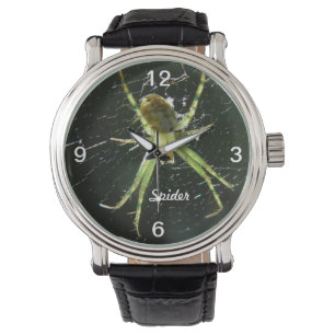 Grönt-blåsglasögon Armbandsur