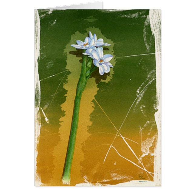 Grönt blomma hälsningskort (Framsidan)