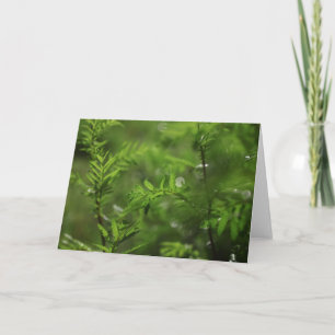 Grönt Blommigt - foto av genomskinlig typ Kort
