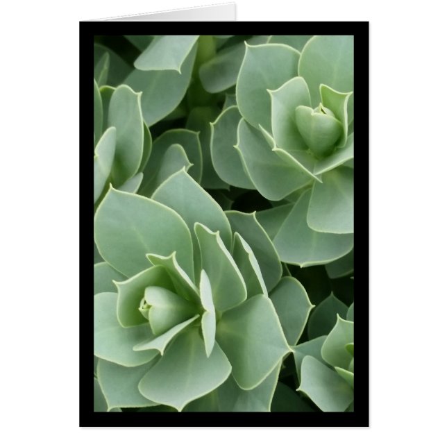 Grönt Blooms- Sång av Sol. 4:9 gratulationskort Hälsningskort (Framsidan)