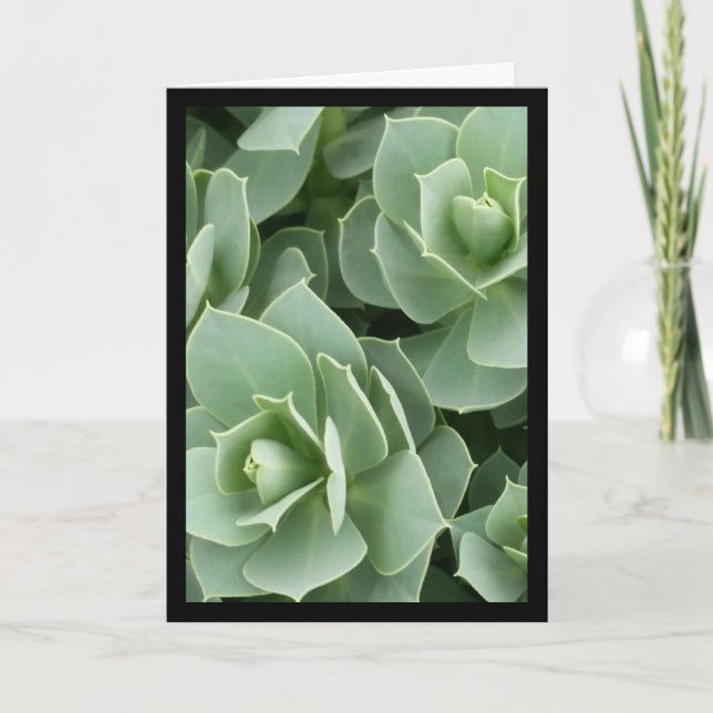 Grönt Blooms- Sång av Sol. 8:7-gratulationskort Kort (Framsida)