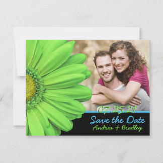 Grönt Blue Gerbera Daisy Photo Bröllop Spara Datumet