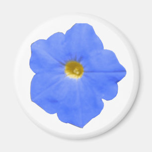 Grönt Blue och Gult Petunia Magnet