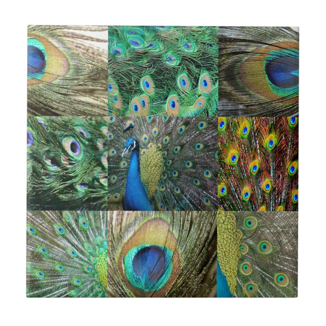 Grönt Blue Peacock-fotokollage Kakelplatta (Framsidan)