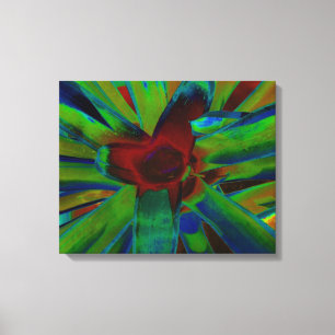Grönt Blue Red Bromeliad Plant Image Canvastryck