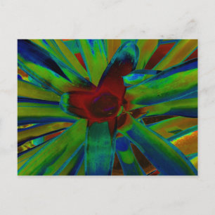 Grönt Blue Red Bromeliad Plant Image Vykort