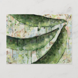 Grönt bönor tre vykort