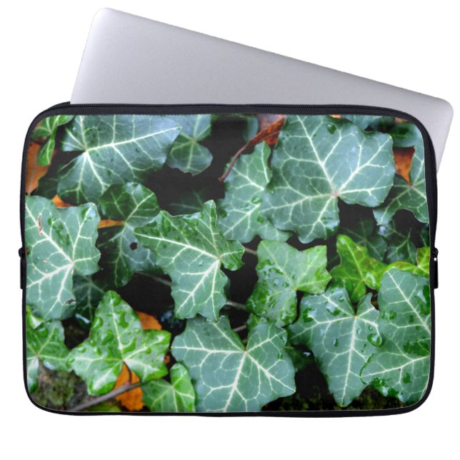 Grönt botaniska Elfenbenskusten och fält sten Laptop Sleeve (Framsidan)