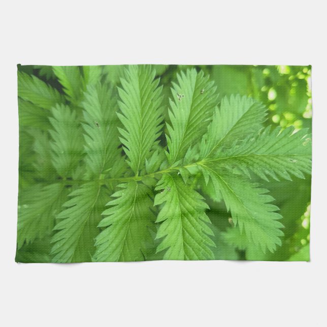 Grönt Botaniskt Blad Köksduk Kökshandduk (Horisontell)