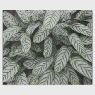 Grönt botaniskt bladsmönster inslagspapper presentpapper
