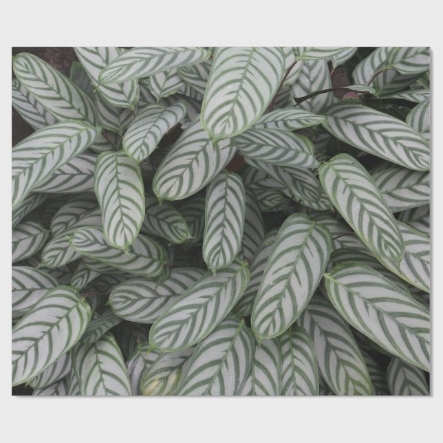 Grönt botaniskt bladsmönster inslagspapper presentpapper (Platt)