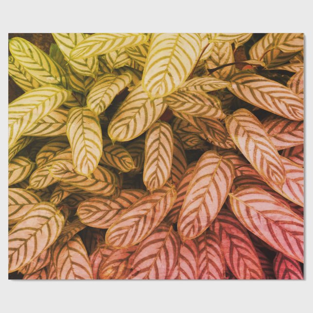 Grönt botaniskt bladsmönstrat inslagspapper presentpapper (Platt)