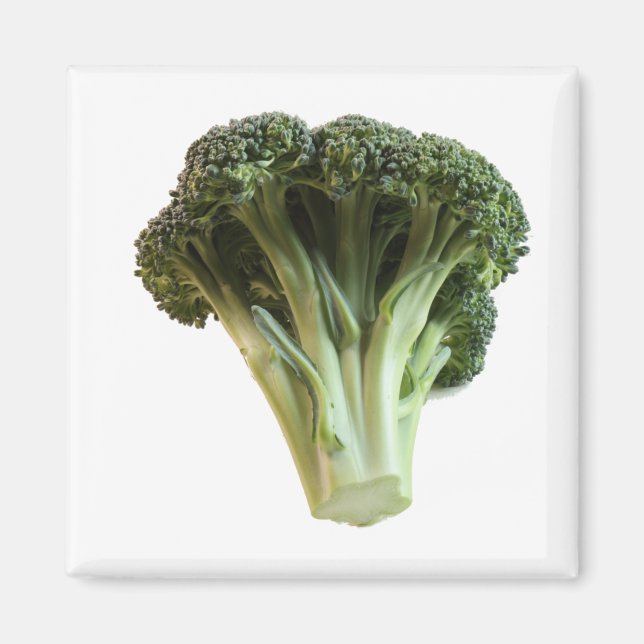 Grönt Broccoli Fresh Vegetable Floweret Magnet (Framsidan)