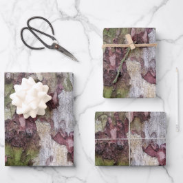 Grönt brun grått-kamouflage-träbark