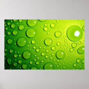 Grönt Bubbles Poster