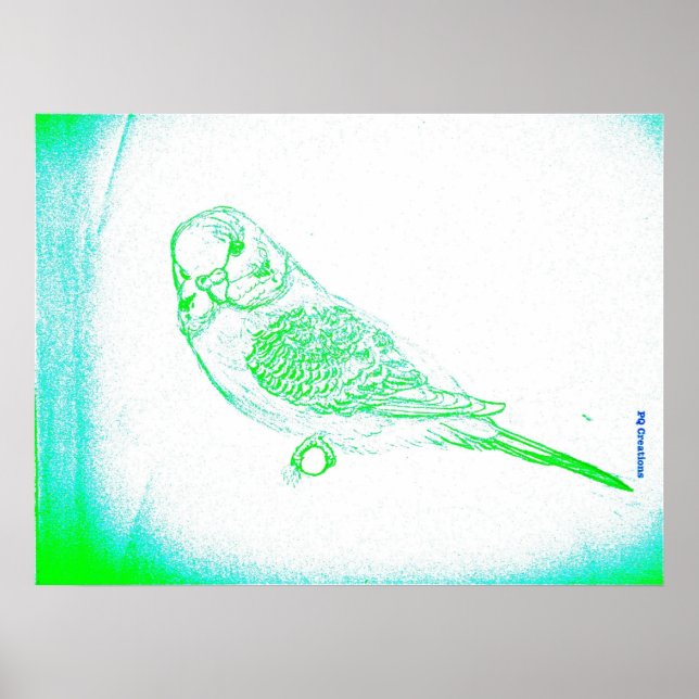 Grönt Budgie Porträtt Poster (Framsidan)
