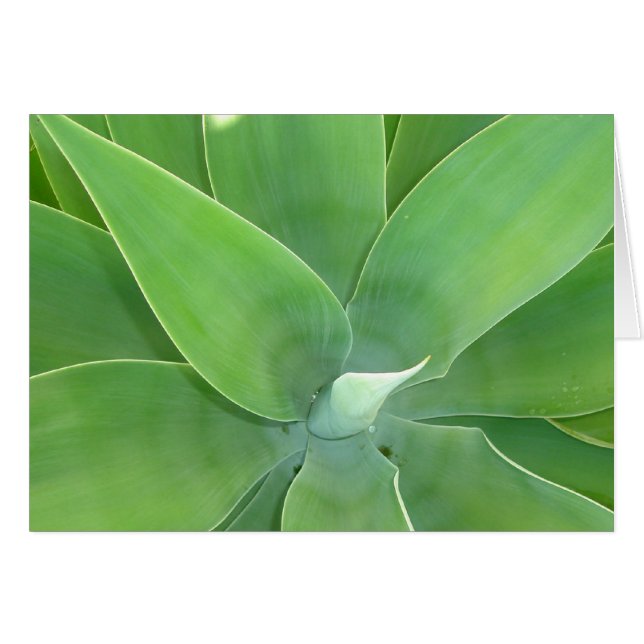 Grönt Burst v2 OBS Kort (Framsidan Horizontal)