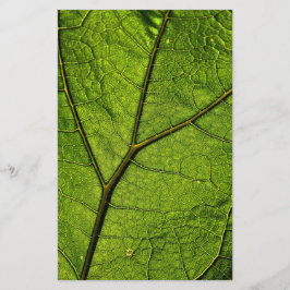 Grönt Butterbur Löv Brevpapper