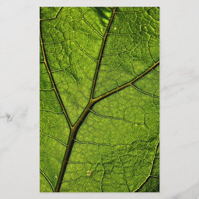 Grönt Butterbur Löv Brevpapper (Framsida)