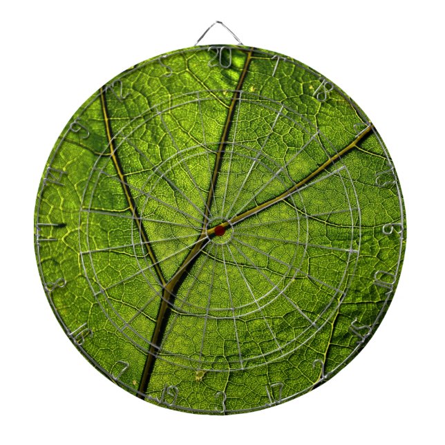 Grönt Butterbur Löv Darttavla (Framsidan)