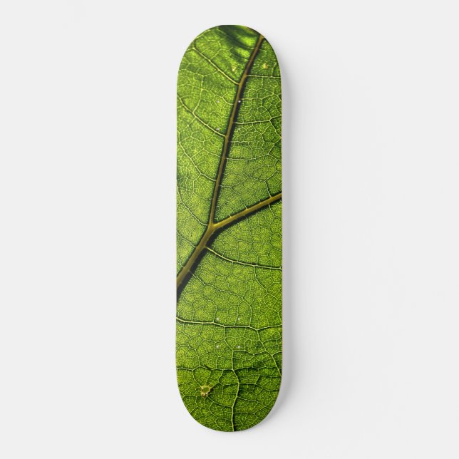 Grönt Butterbur Löv Mini Skateboard Bräda 18,5 Cm (Framsida)