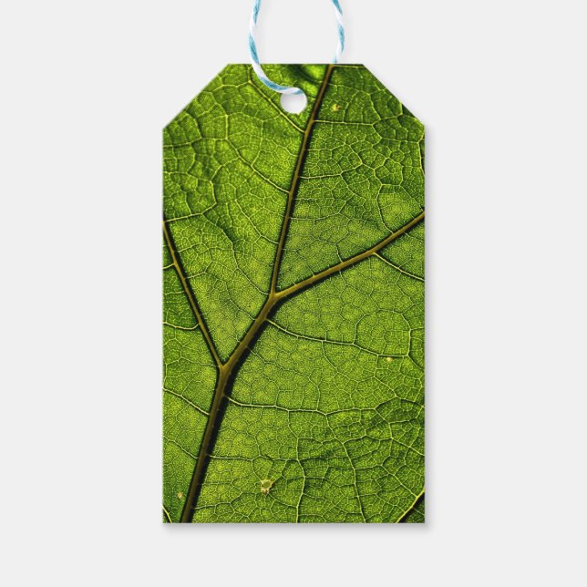 Grönt Butterbur Löv Presentetikett (Framsidan)