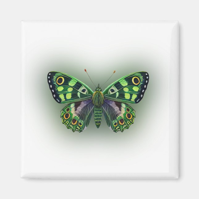 Grönt Butterfly Magnet (Framsidan)