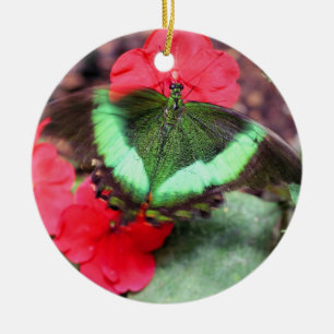 Grönt Butterfly Nature Ornament