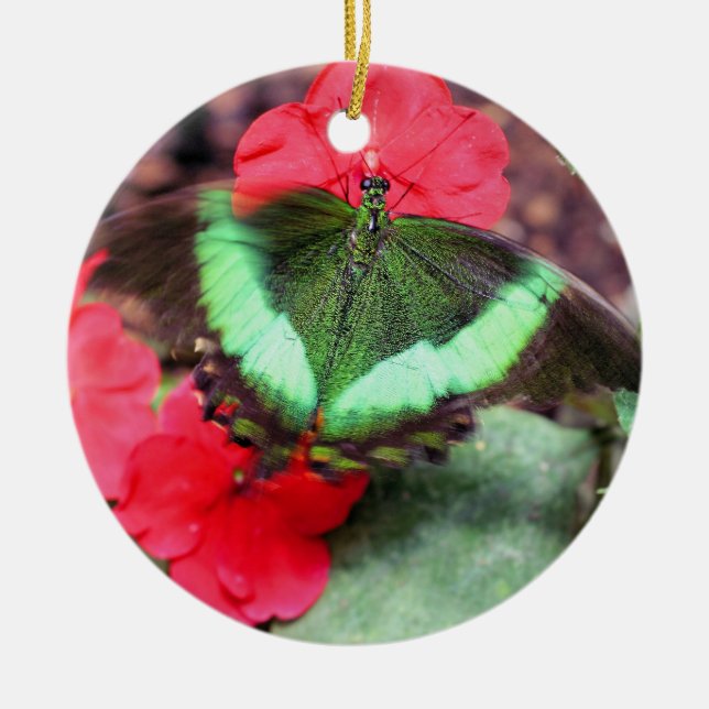 Grönt Butterfly Nature Ornament (Framsidan)