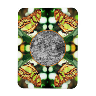 Grönt Butterfly Posing Ram Skapar ditt eget foto Magnet