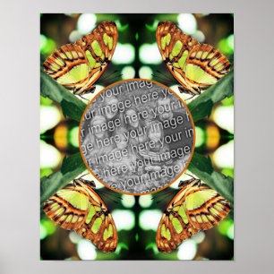 Grönt Butterfly Posing Ram Skapar ditt eget foto Poster