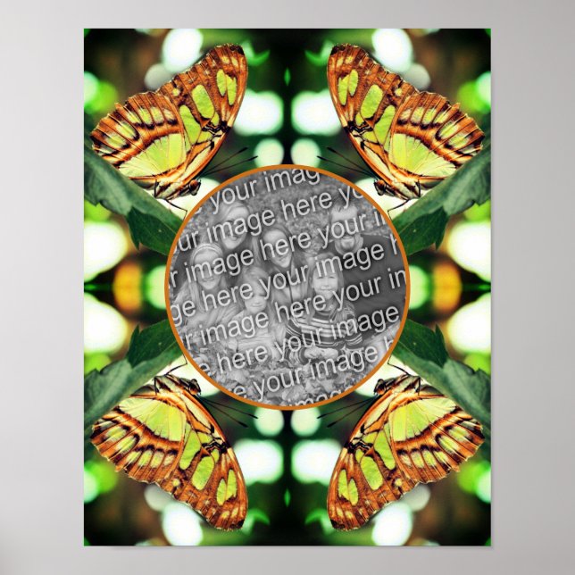 Grönt Butterfly Posing Ram Skapar ditt eget foto Poster (Framsidan)