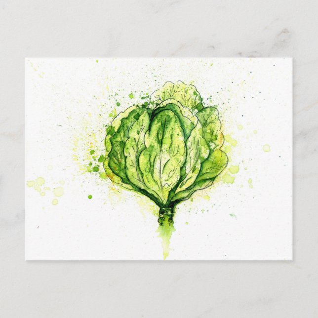 Grönt Cabbage Watercolor Vykort (Framsida)