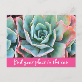 Grönt Cacti-fotot hittar Ställe i Sol Vykort