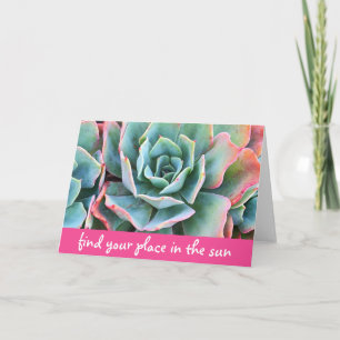 Grönt Cacti Photo Hitta Ställe i Sol-skript Kort