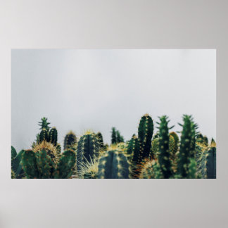 GRÖNT CACTI POSTER